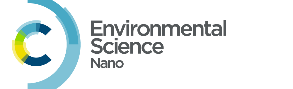 Logo, Environmental Sciences: Nano